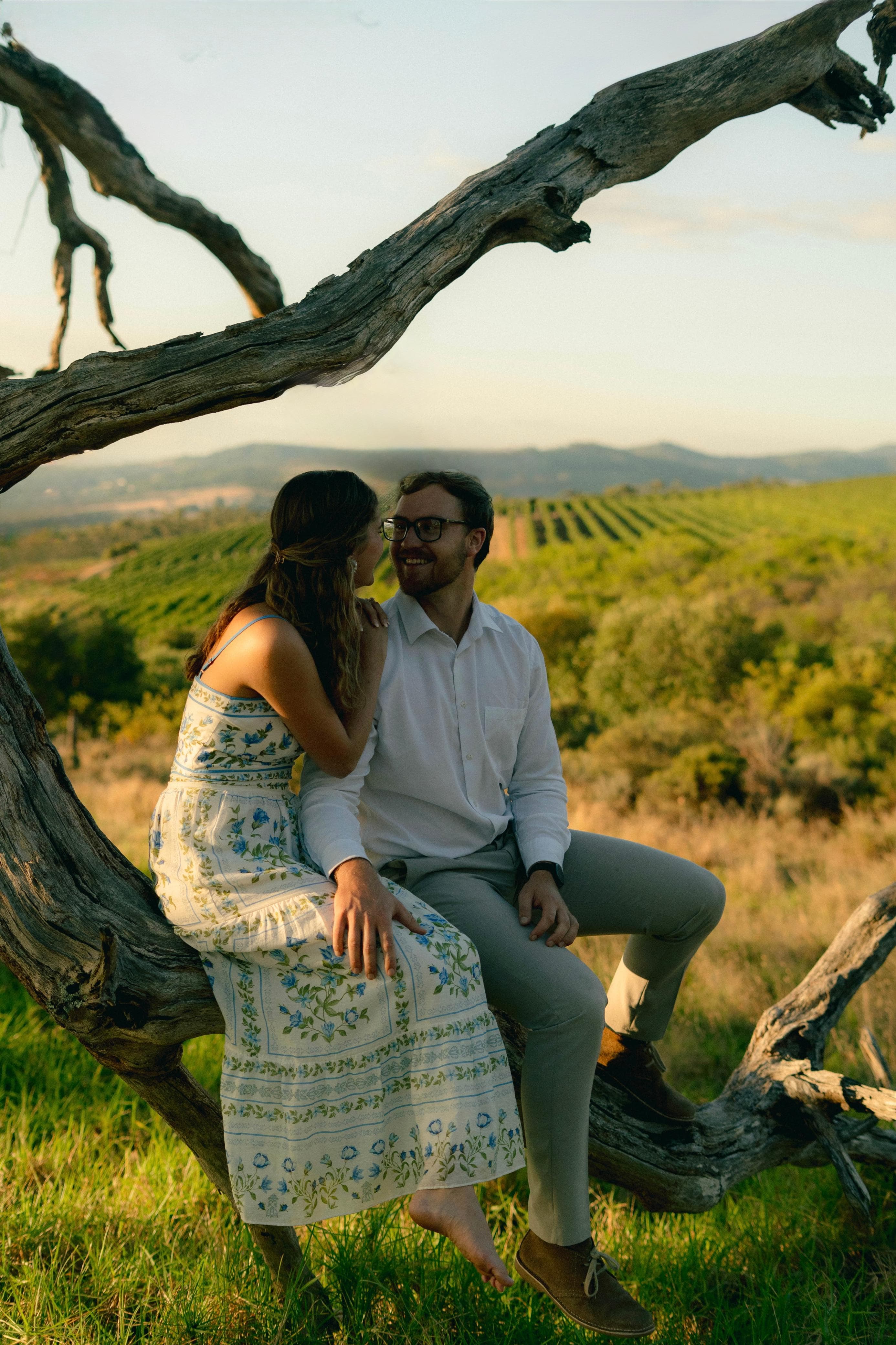 Reinhardt and Minke sitting together on a tree branch overlooking vineyards at golden hour.